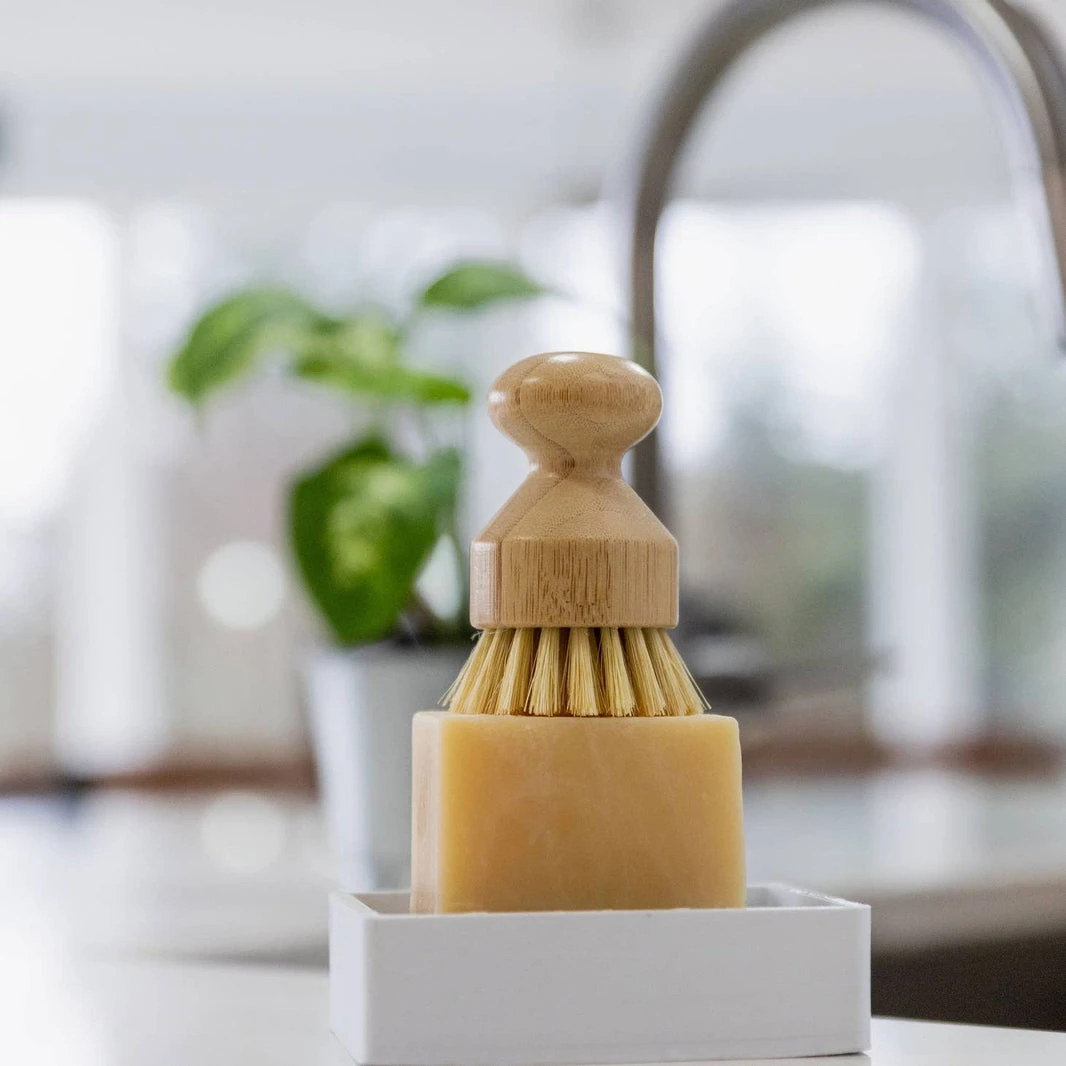 Short Handle Bamboo Scrub Brush